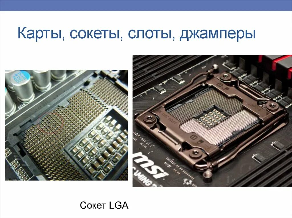 Слот сокет. Виды сокетов. Устаревшие сокеты LGA. Переходник с сокета на слот. Адреса порты сокеты