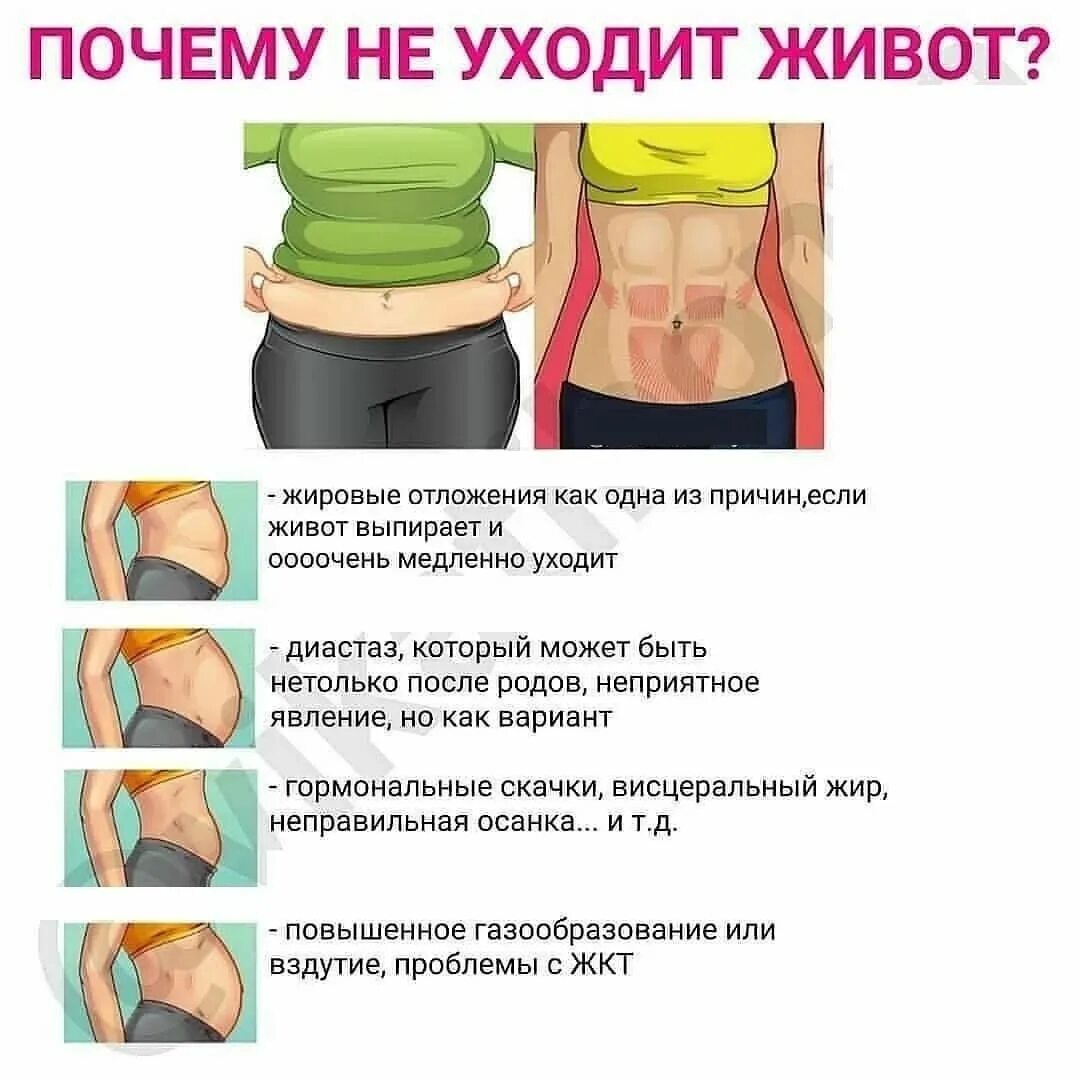 Что делать чтобы прошел живот. Убрать живот. как похудеть в животе. упражнения от живота. памятка для худеющих.