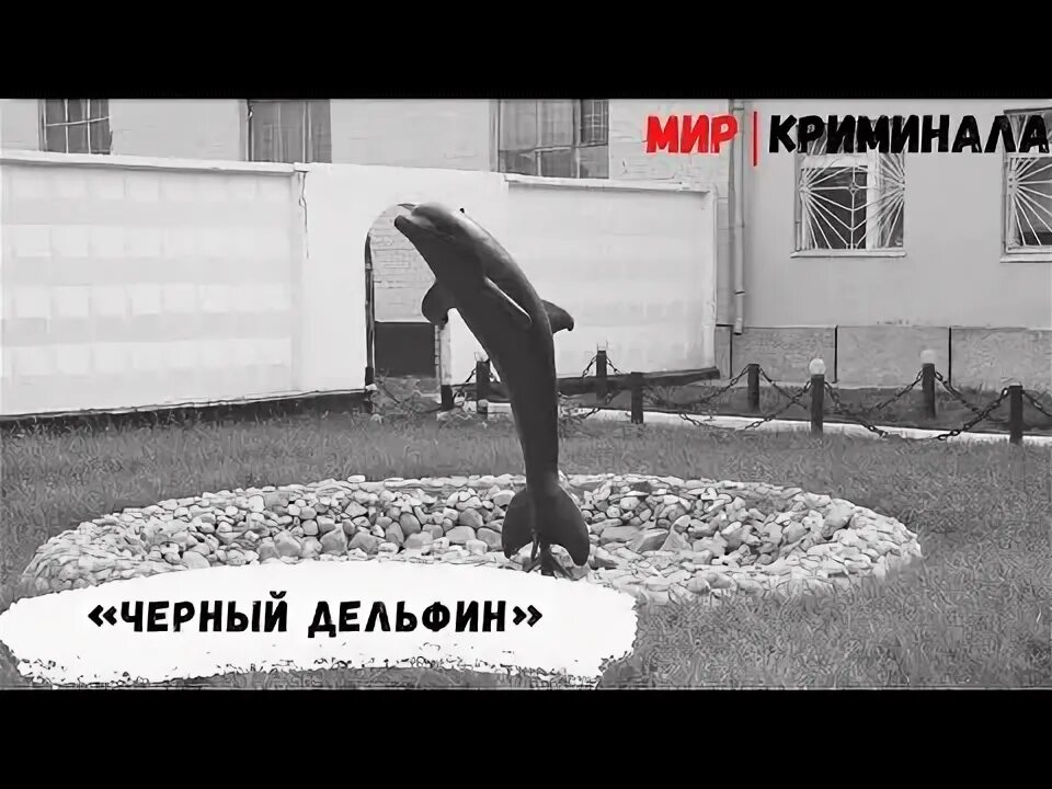 Чёрный Дельфин тюрьма 2023. Екатеринбург чёрный Дельфин. Колонии черный Дельфин в Оренбургской области.