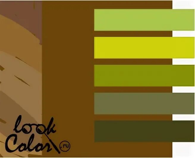 Золотисто-коричневый цвет и его сочетание LOOKCOLOR