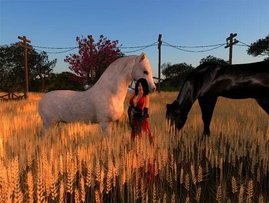 Horse life лошади. Ellen whitaker's horse life (horse life 2). Second life лошади. Ellen whitaker's horse life игра. Ellen whitaker's horse life игра.
