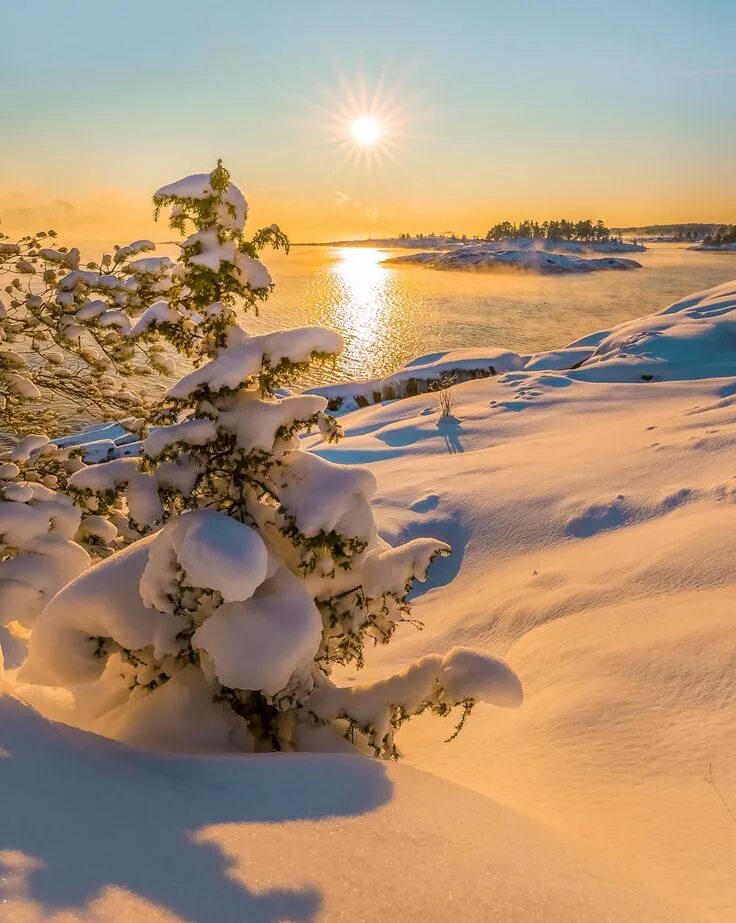 Солнечный зимний день. Зима солнце. Зимняя природа. Зимний рассвет. Красивое солнце зима