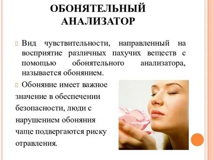 Информация воспринимаемая человеком с помощью обоняния