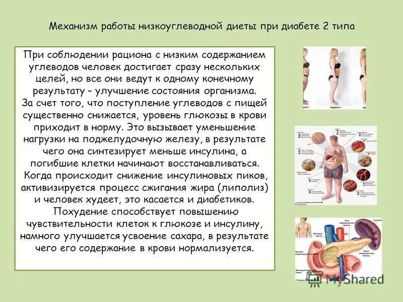 Безуглеводная диета при сахарном диабете 2 типа. Низкоуглеводные продукты для диабетиков. Таблица низкоуглеводных продуктов при низкоуглеводной диете. Низкоуглеводная диета при диабете меню. Рацион диабетика.