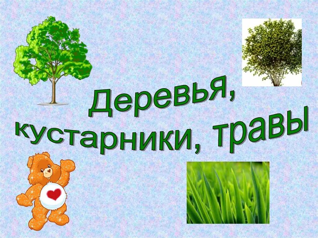 Деревья кусты травы. Деревья кусты травы