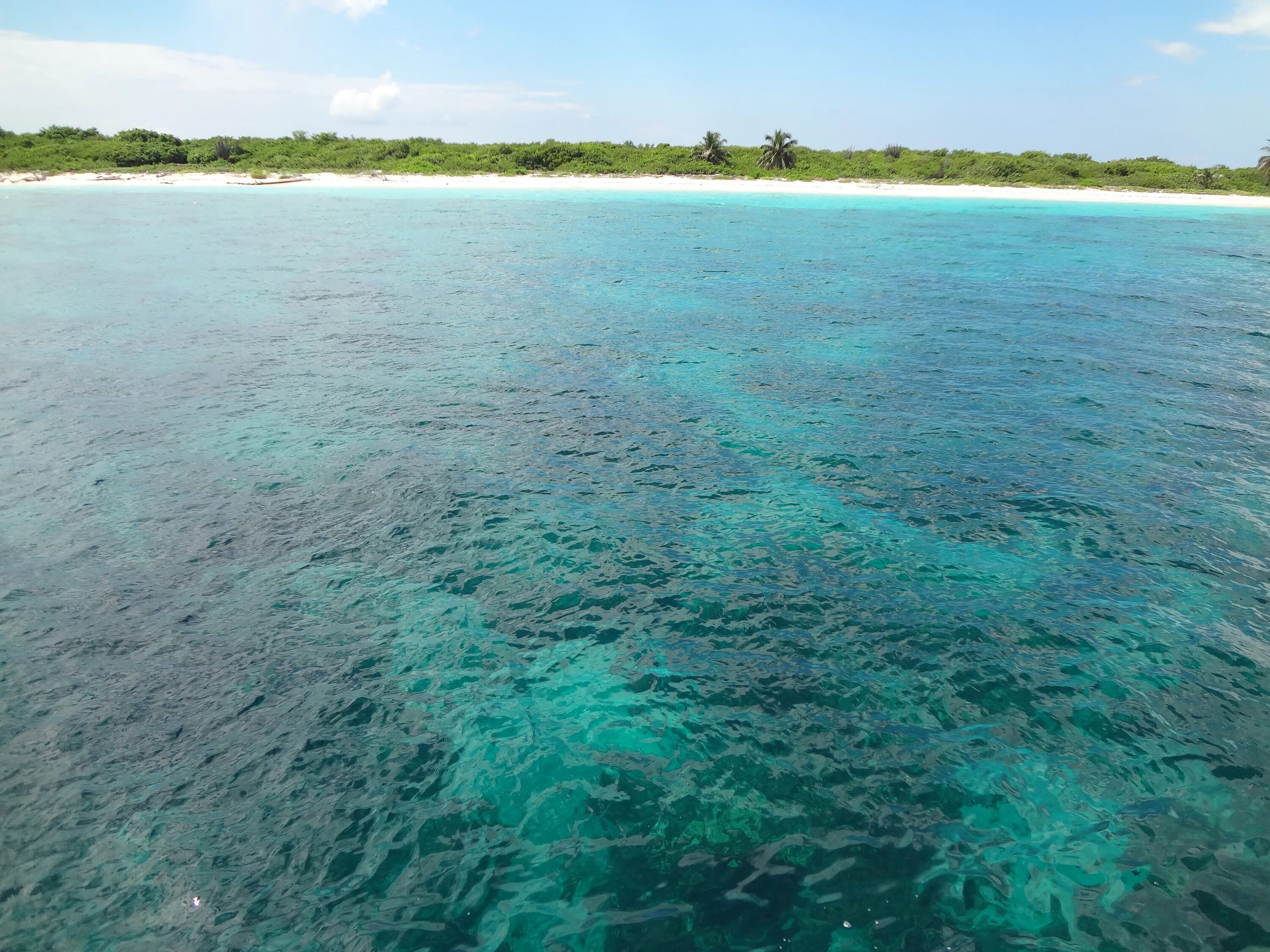 Island вода