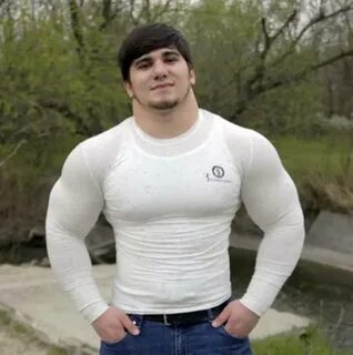Тамаев википедия