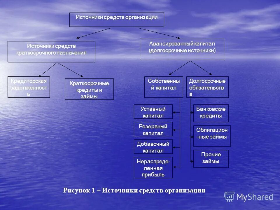 Заемные источники организации