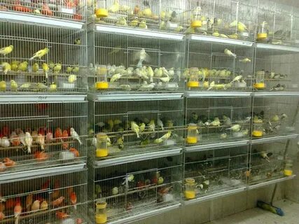 В каком зоомагазине можно