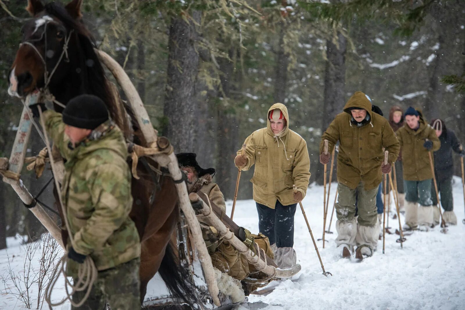 экспедиция на перевал дятлова. группа перевала дятлова 1959. тайна перевала дятлова фильм 2020. перевал дятлова сериал 2020 дорошенко. телесериал 2020 перевал дятлова.