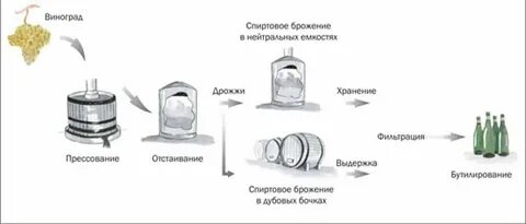 Технология производства вина