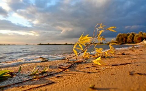 Осеннее море природа Смотреть 50 идеи на фото бесплатно