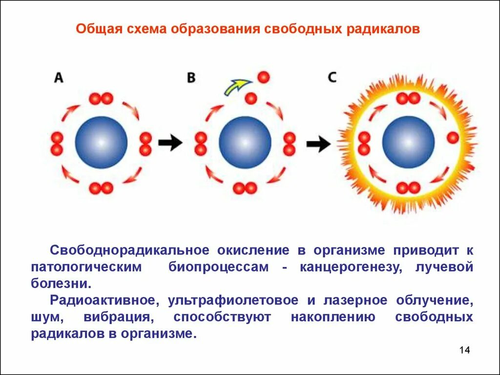 Кожей радикал. Схема образования свободных радикалов. Схема свободнорадикального окисления. Как образуются свободные радикалы. Свободно-радикальное окисление.