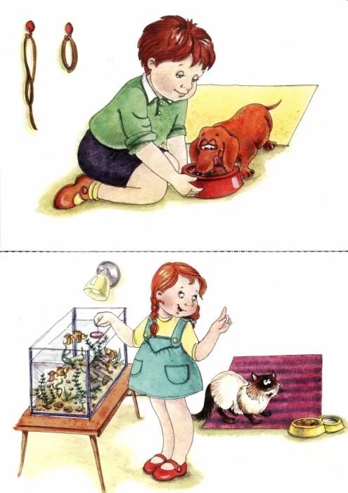 составление рассказа по картинкам купили щенка. сюжетные картины. рассказ по картинкам купили щенка старшая группа. сюжетные картинки щенок. рассказ по картинкам купили щенка старшая группа.