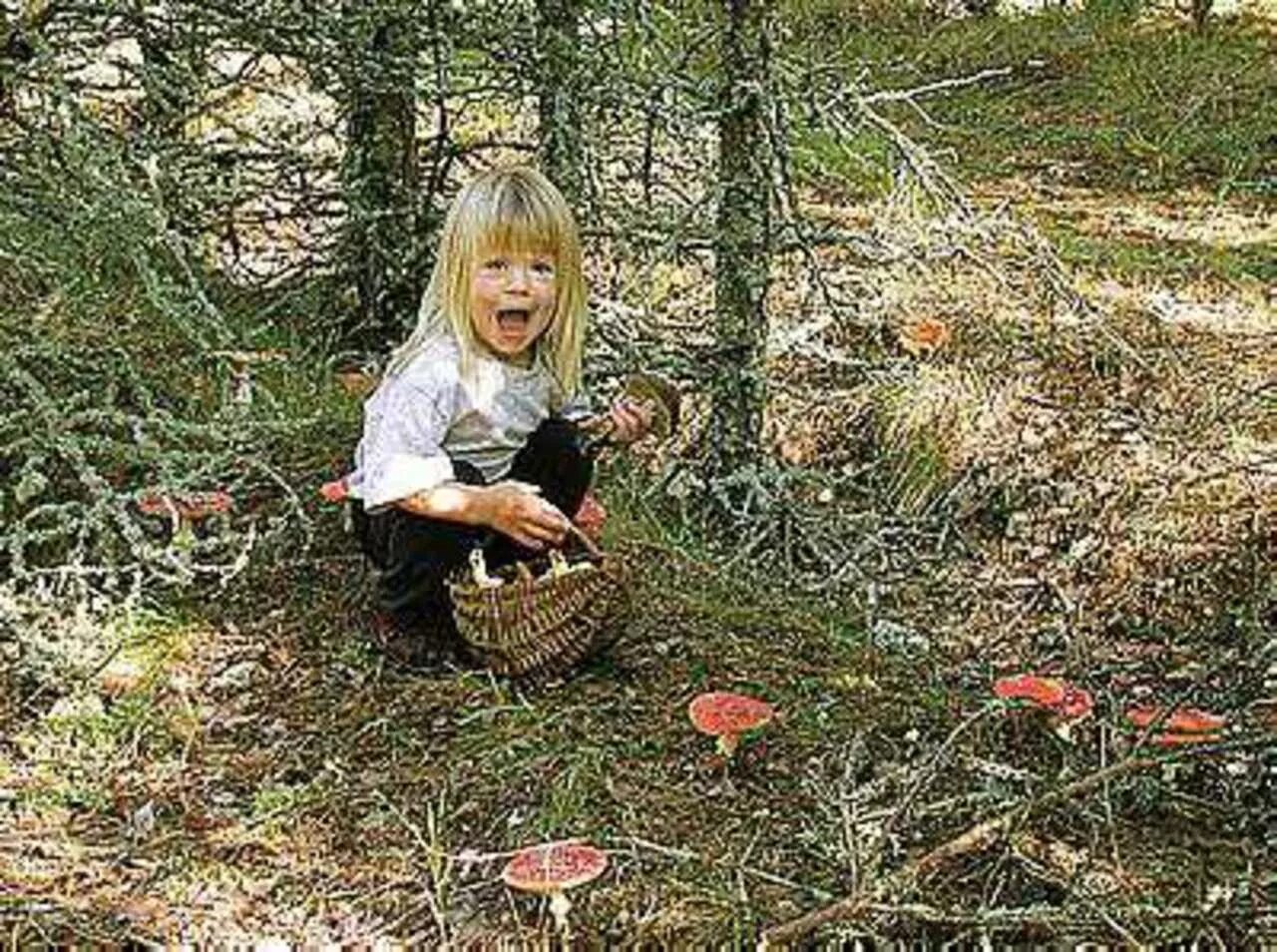 Дети собирают грибы в лесу. Девочка в лесу. Девочка потерялась в лесу. Девочка в лесу собирает грибы.