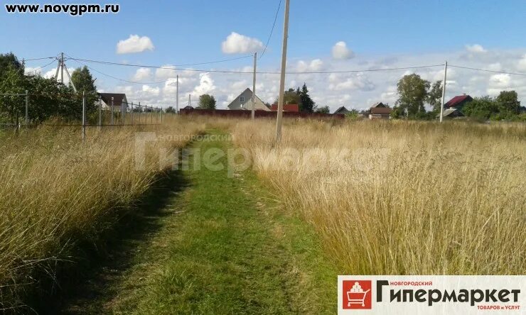 Мой гектар в подмосковье. Участок за 100 тысяч. Участок за 100 тысяч. Участок за 100 тысяч. Мой гектар в подмосковье.