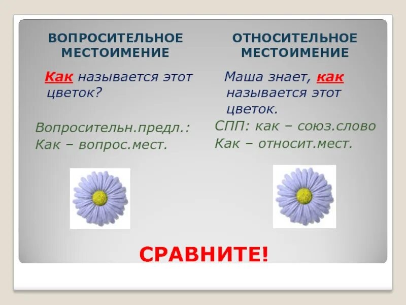 Вопросительные местоимения являются членами предложения. Относительные местоимения. Вопросительные и относительные местоимения. Как относительное местоимение. Относительные местоимения презентация.