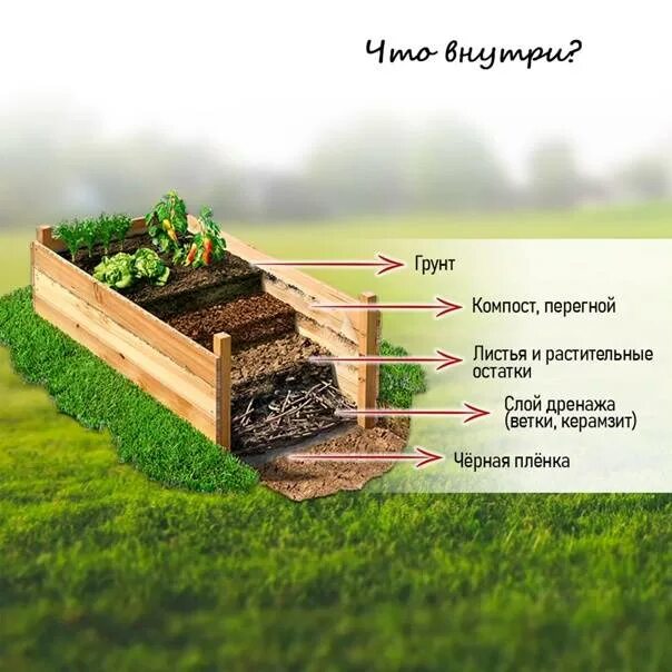 Грунт в теплой грядке. Высокие грядки. Наполнение высоких грядок. Высокие деревянные грядки. Высокие теплые грядки.