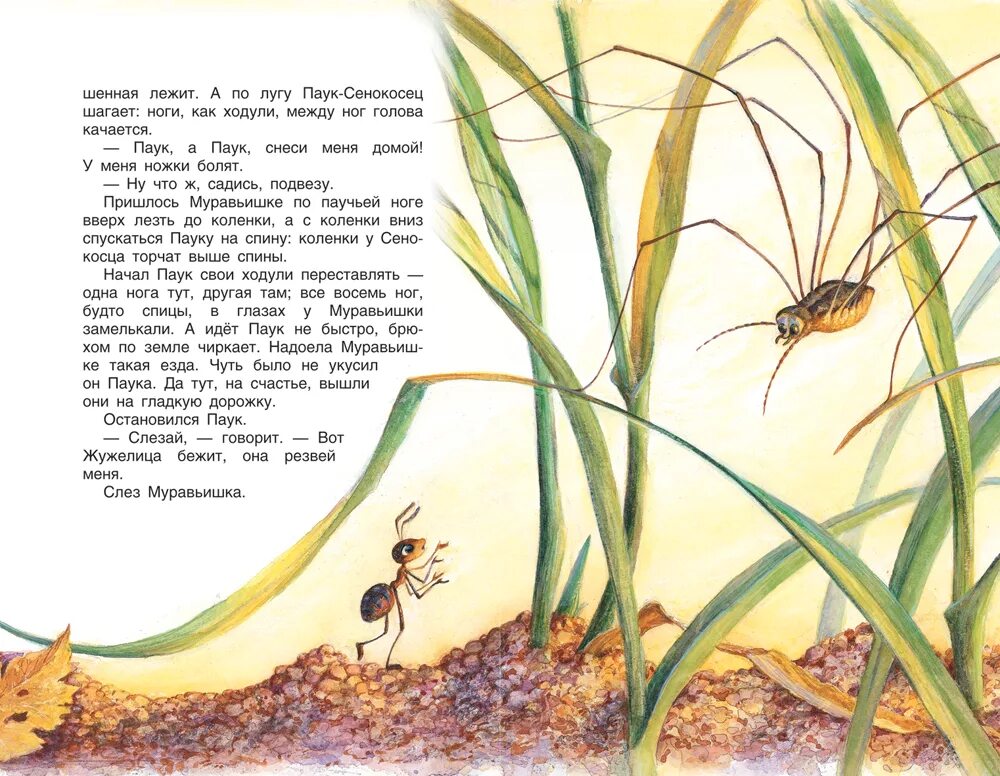 Какие насекомые помогали муравьишке добраться домой. Книга Бианки как муравьишка домой спешил. Муравей к рассказу Бианки. Сказка Бианки про муравьишку. Паук и муравей Бианки.