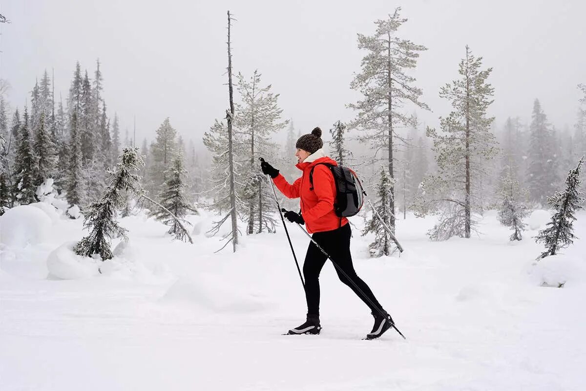 Walking snow rum перевод. Нордик Сноу. Nordic Walking Finland. XC skier Lapland. Forest Cover in Nordics.