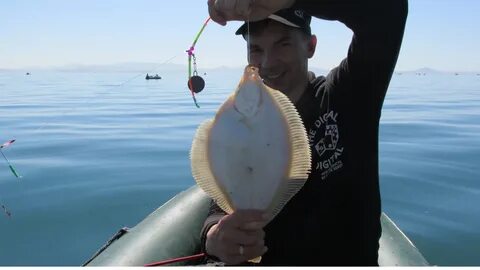 Камбала на что ловить в море