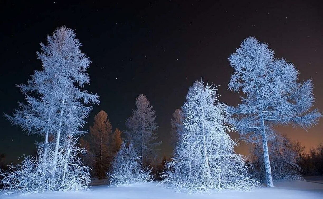 зимнее утро. утро в зимнем лесу. солнце в лесу зимой. зимний закат. зимние картинки красивые.