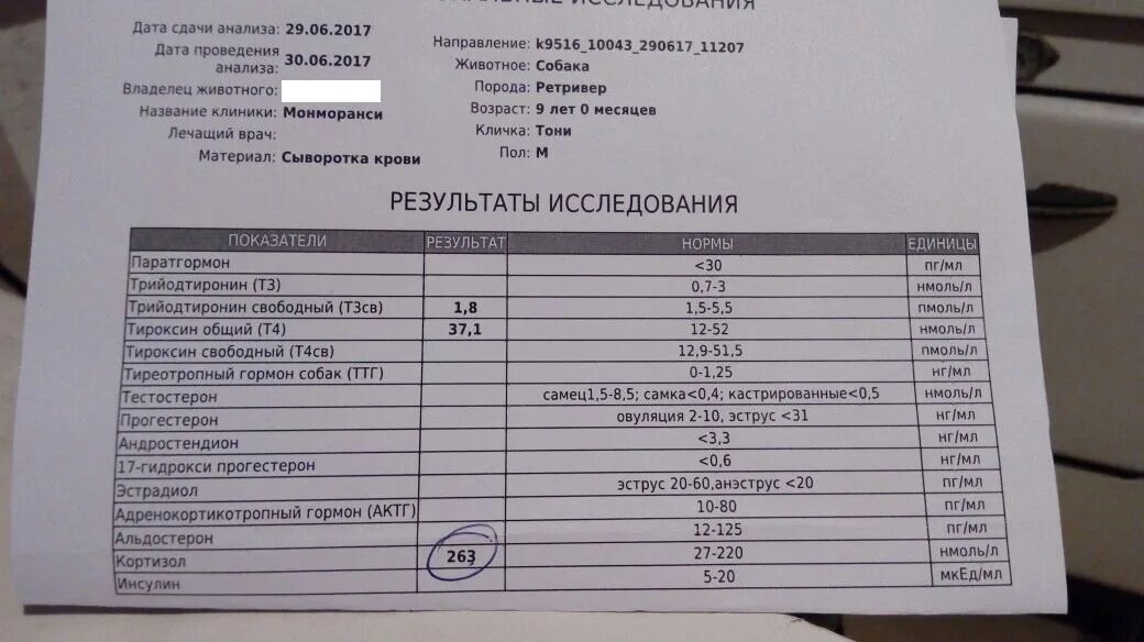 Ситилаб пролактин. Нормы анализа крови на паратиреоидный гормон. Паратиреоидный гормон норма у ребенка таблица. Норма анализа на паратгормон. Паратиреоидный гормон норма у женщин по возрасту таблица.