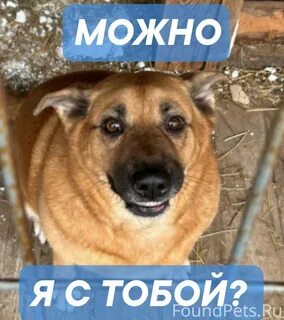 Постой а можно я с тобой стой