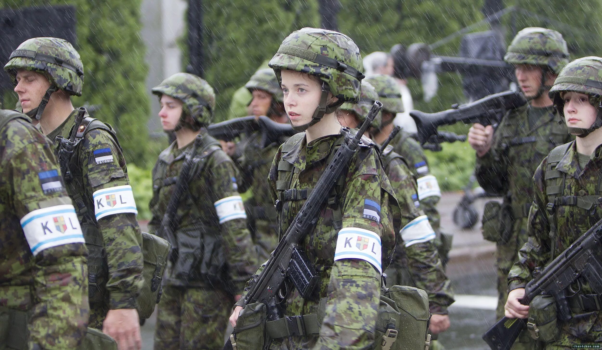 Армия Эстонии. Эстонская армия. Эстонская Военная форма. Форма армии Эстонии. Эстония направит одного военного