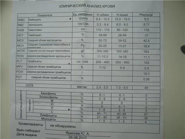 Анализ на б 12. Анализ крови биохимический общетерапевтический. Клинический анализ крови и биохимический анализ. Общий биохимический анализ крови общетерапевтический норма. Анализ крови биохимический общетерапевтический норма для женщин.