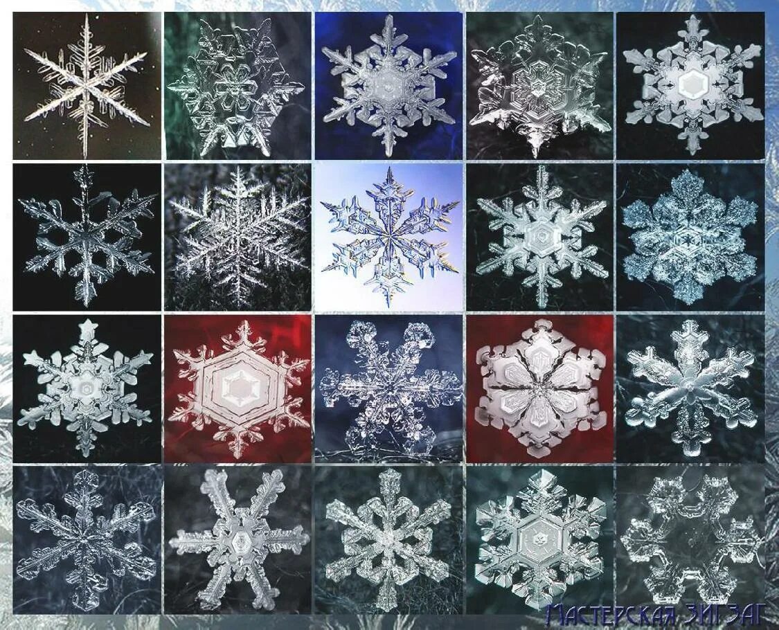 Впр снежинки бывают разные 4 класс. Разнообразие снежинок. Формы снежинок. Снежинки разной формы. Формы снежинок в природе.