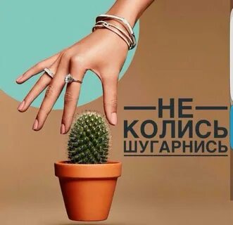 Эпиляция слоганы
