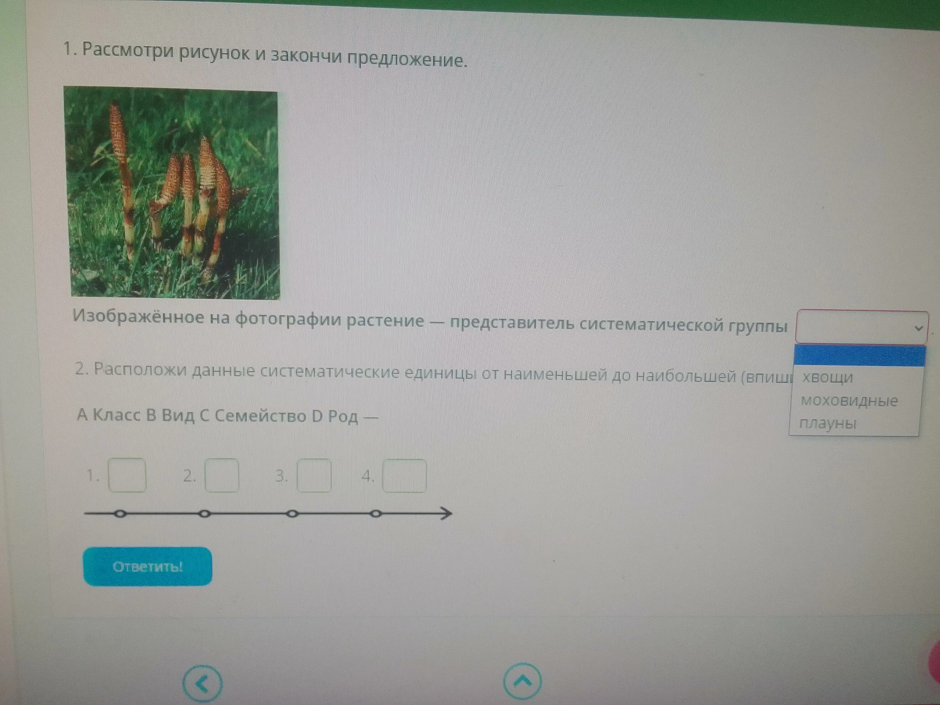 Закончи предложение выбрав подходящий вариант ответа. Рассмотри рисунок и закончи предложение. рассмотри рисунок и закончи текст списав или выбрав нужные термины. рассмотри рисунок и закончи предложение вписав нужные термины.