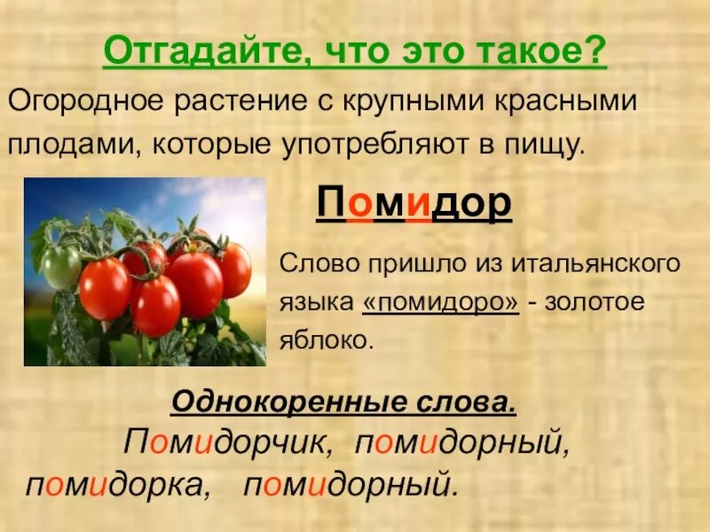 Корень в слове овощи. Помидор словарное слово. Помидор однокоренные слова. Предложение со словом помидор. Томат словарное слово.