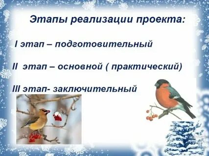 Детям про птиц в детском саду