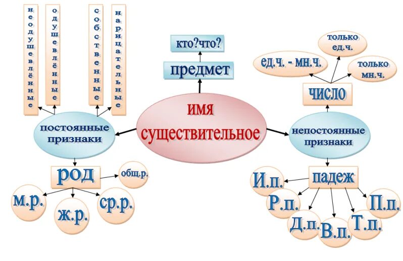 Обобщение знаний об имени существительном 3 класс школа России. Школа России русский язык имя существительное 3 кл. Имя существительное 3 класс. Имя существительное схема 2 класс школа России. Русский язык 5 класс имя существительное презентация