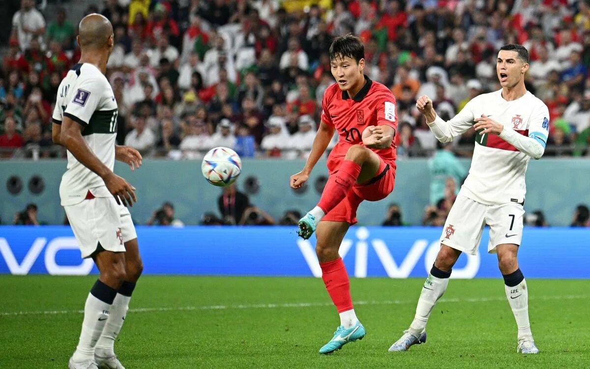 Португалия Корея ЧМ 2022. Южная Корея Португалия 2 декабря 2022. Корея Португалия футбол. Сборная Южной Кореи.