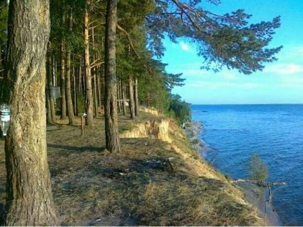 Погода в буревестнике городецкого