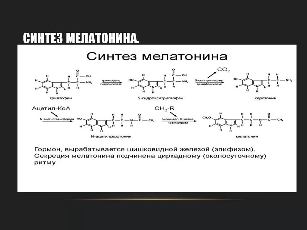 Синтез мелатонина. Синтез мелатонина из триптофана. Мелатонин Синтез биохимия. Схема синтеза мелатонина. Схема триптофана Синтез мелатонина.