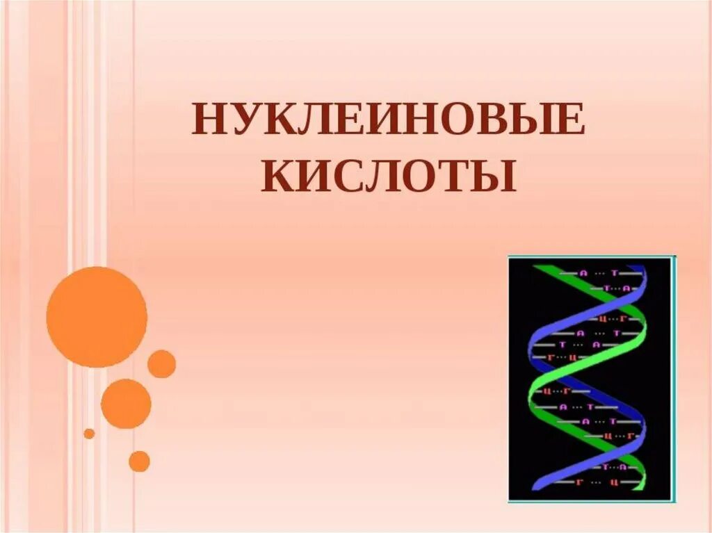 Нуклеиновые кислоты. Нуклеиновые кислоты презентация. Нуклеиновые кислоты биология 10 класс. Нуклеиновые кислоты химия.