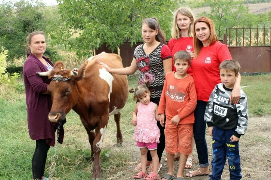 Подсобное хозяйство многодетным. Лпх калита заводоуковский район. Лпх. Личных подсобных хозяйств. Подсобное хозяйство.
