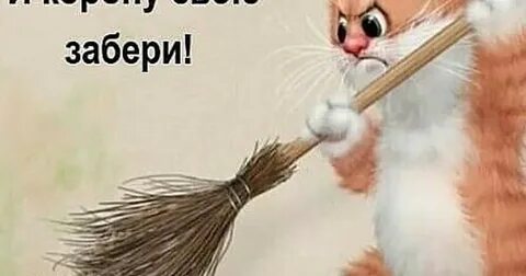 Смешные картинки прощай