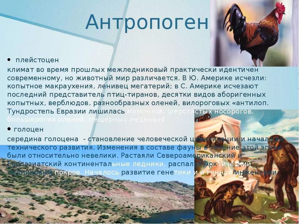 Антропоген климат. Антропоген климат. Четвертичный период главные события. Мегафауна плейстоцена. Антропоген климат.
