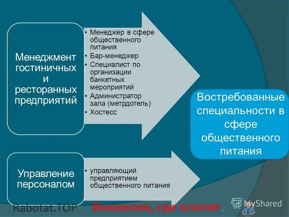 Функция предприятия питания. Менеджмент на предприятии общественного питания. Роль менеджмента в общественном питании. Основные функции менеджмента в ресторанном бизнесе. Особенности менеджмента на предприятиях общественного питания.