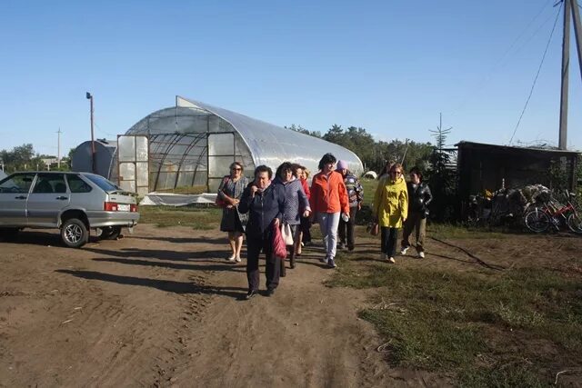 Гисметео черлакский район омской области. Плодопитомники в Черлаке. Питомник Черлак. Большой Атмас Черлакского района Плодопитомник. Экскурсия в Омске в Черлакский Плодопитомник в 2022 году.