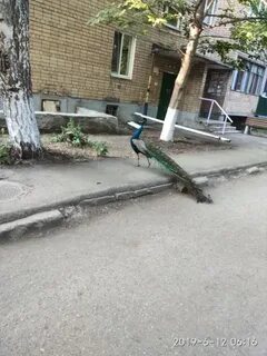 Подслушано саратовская