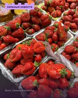 Клубника предложения