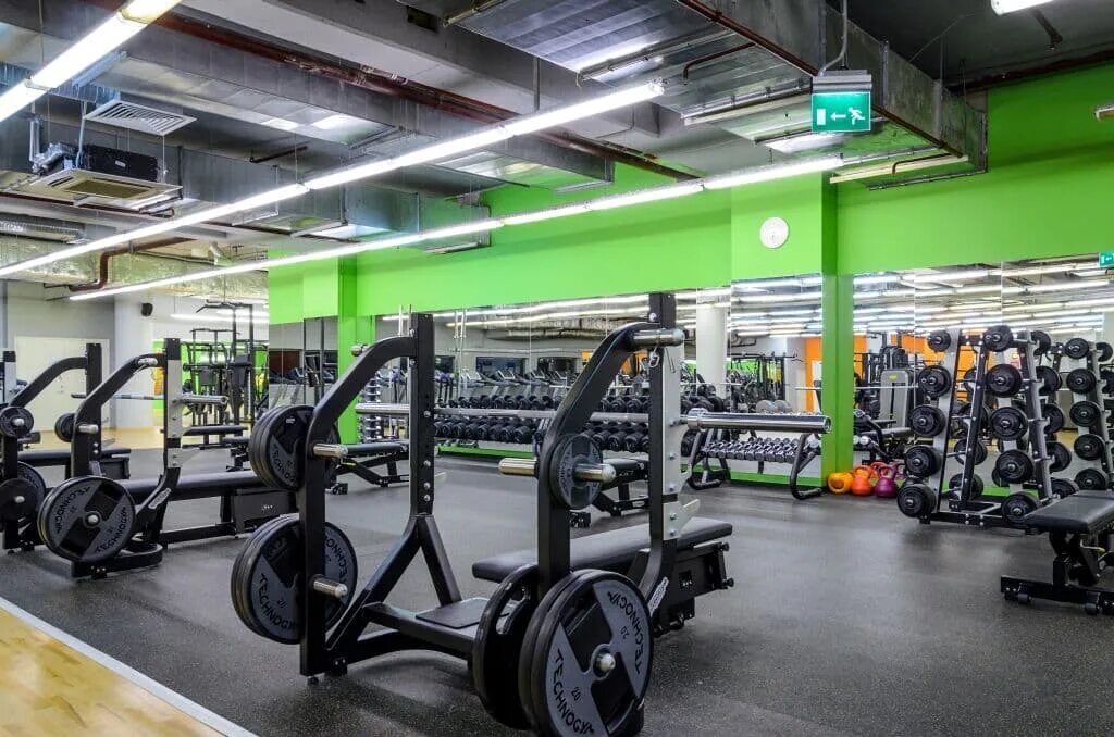Алекс фитнес белгород. Alex fitness уфа. Алекс фитнес оренбург гулливер. Алекс фитнес оренбург абонемент. Алекс фитнес оренбург гулливер.