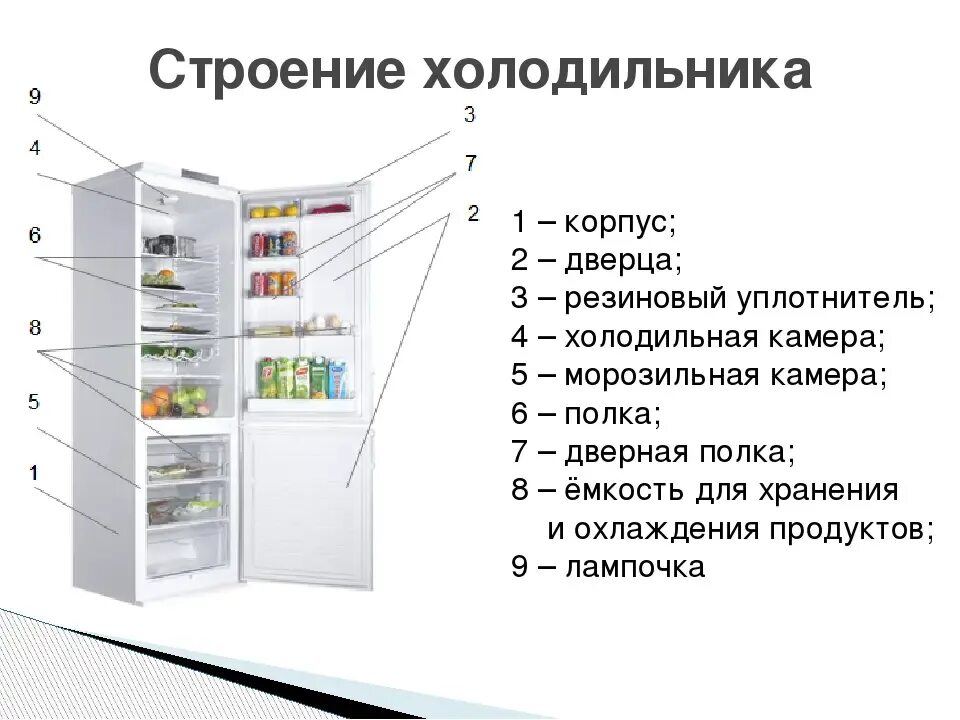 Какого пола холодильник
