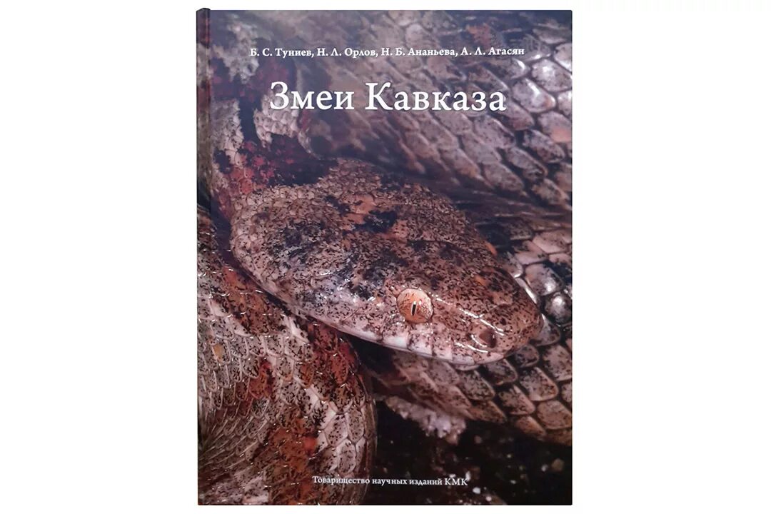 Книга про змея. Книги о змеях. Энциклопедия про змей. Змея с книгой. Змеи Кавказа книга.